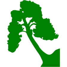 Fundraising Page: E. Ford